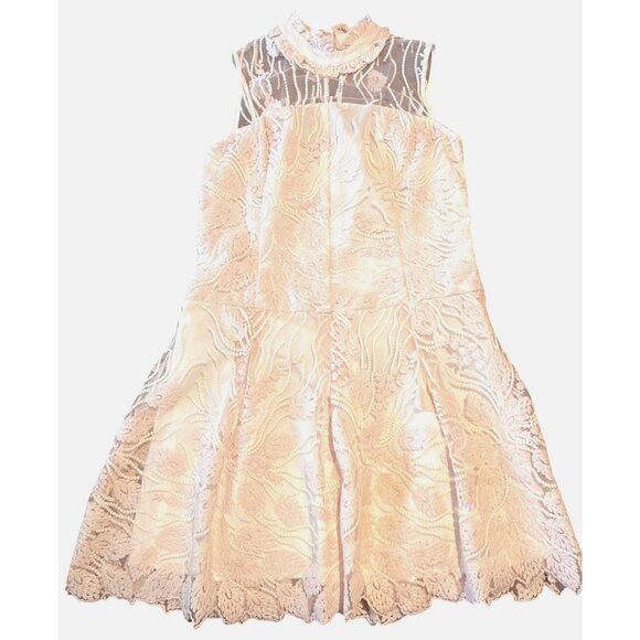 Nanette Lepore Sheer Pink Bella Donna Dress 12 Lace Boho Coquette Embrodery - Picture 2 of 10